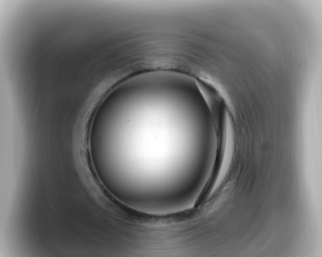 X0000099580673200805231551