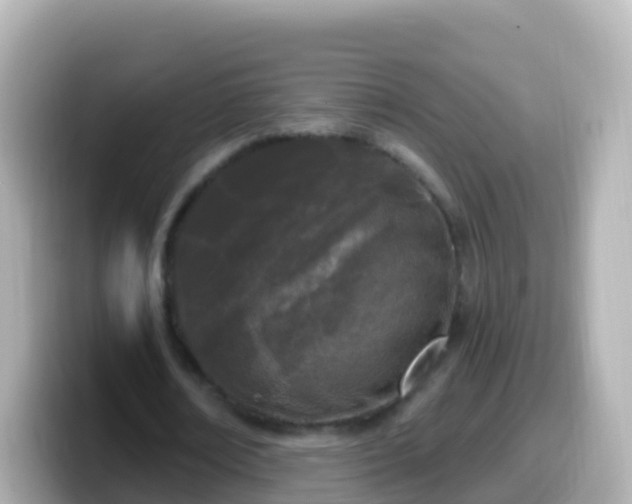 X0000099580674200805231551