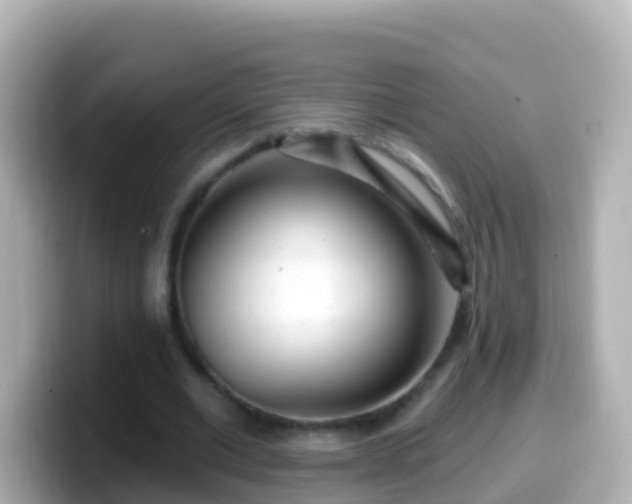 X0000099580677200805231551