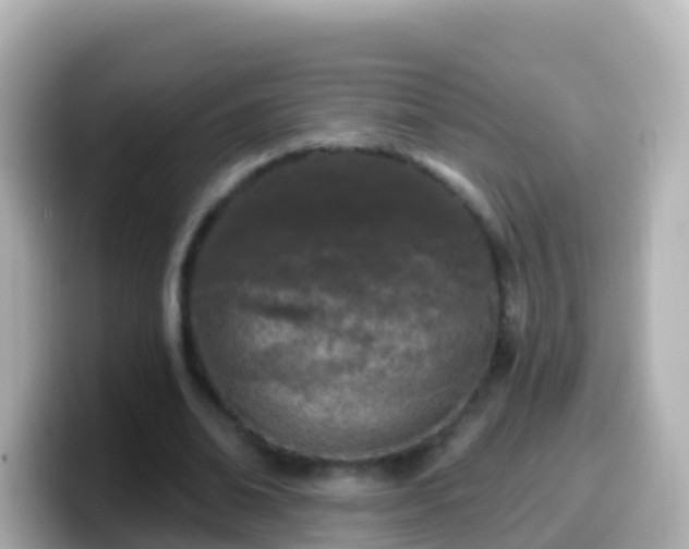 X0000099580678200805231551