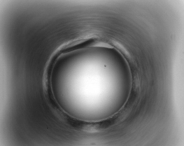 X0000099580680200805231551