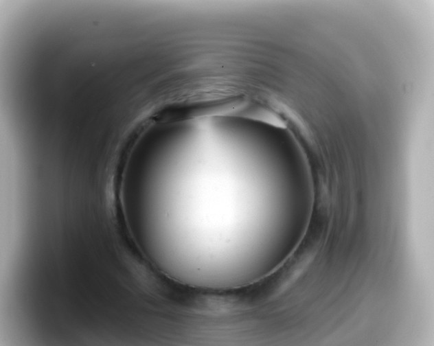 X0000099580681200805231551