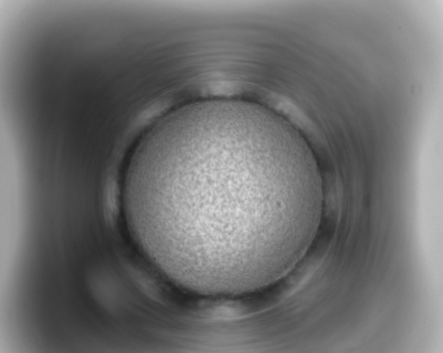 X0000099580683200805231551