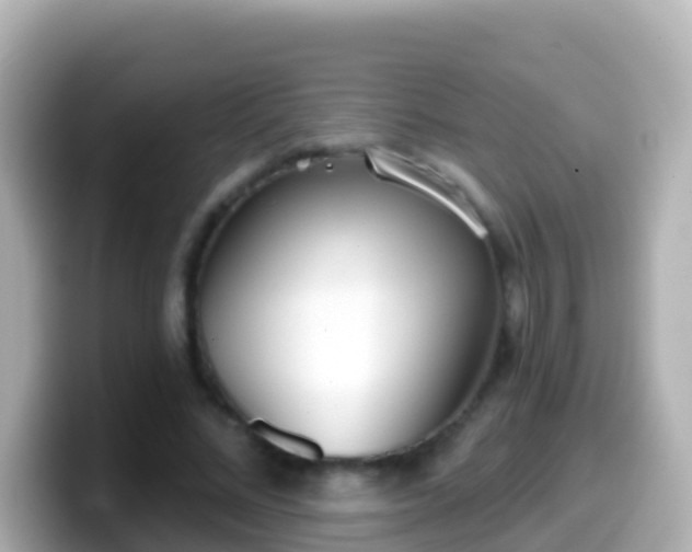 X0000099580684200805231551