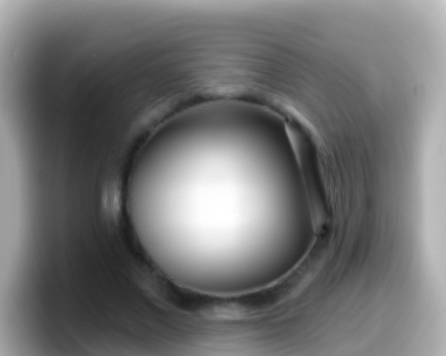 X0000099580685200805231551