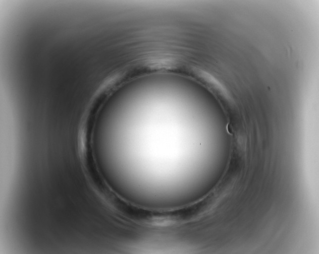 X0000099580686200805231551