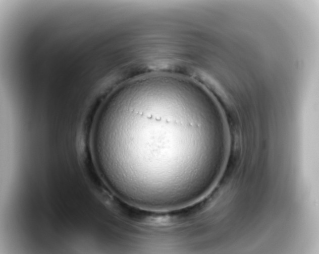 X0000099580687200805231551