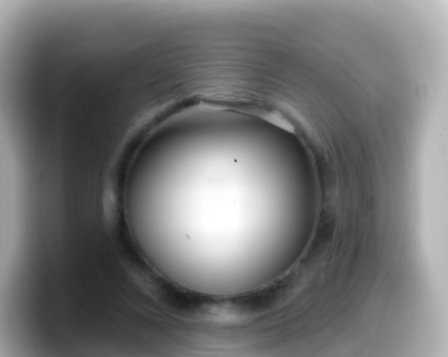 X0000099580688200805231551