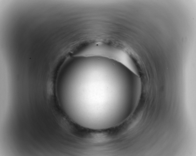 X0000099580689200805231551