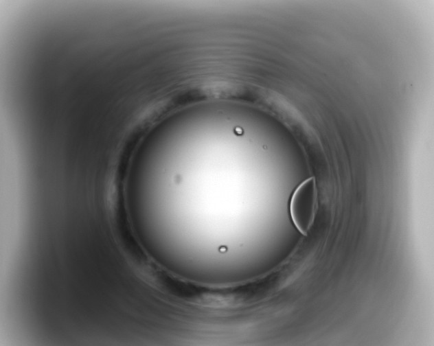 X0000099580690200805231551