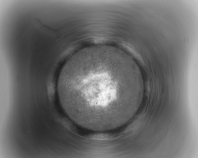 X0000099580691200805231551