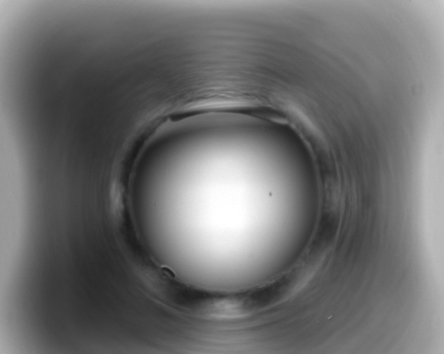 X0000099580692200805231551