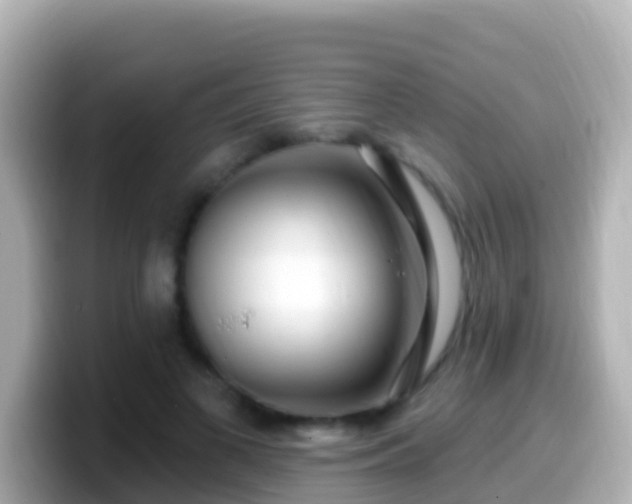 X0000099580693200805231551