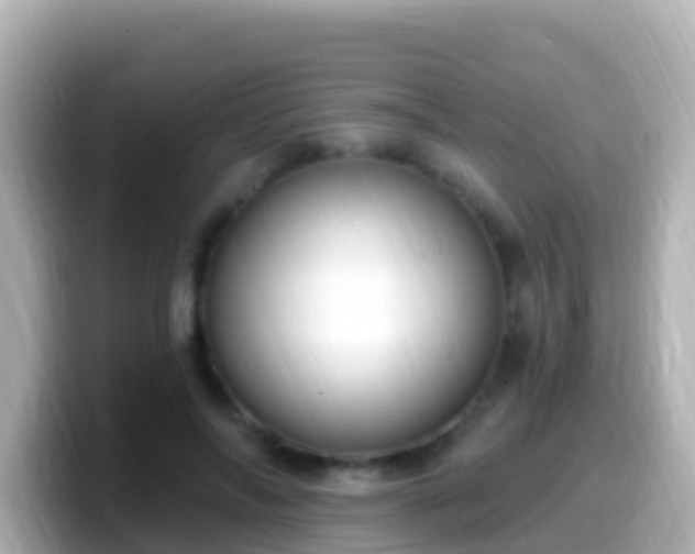 X0000099580694200805231551