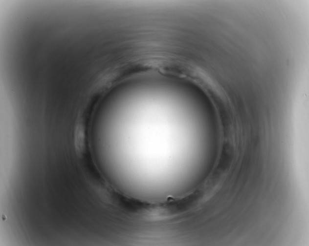 X0000099580696200805231551
