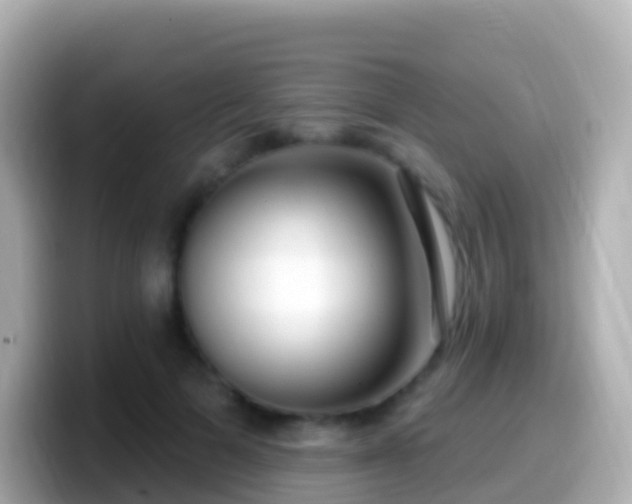 X0000099580697200805231551