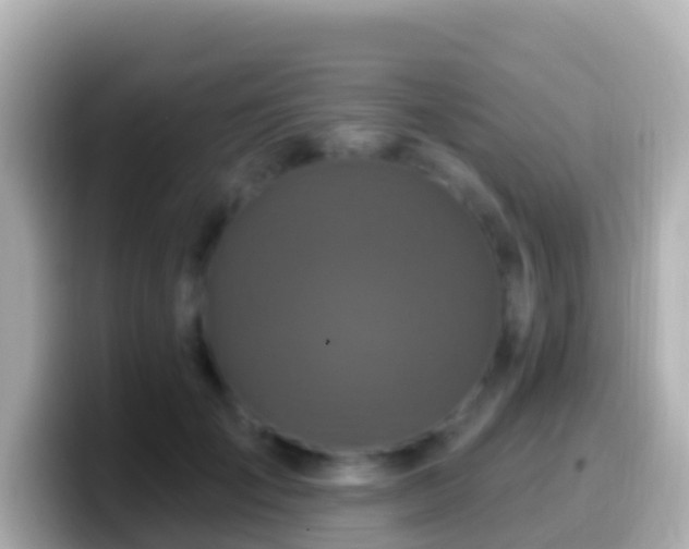 X0000099580701200805231551