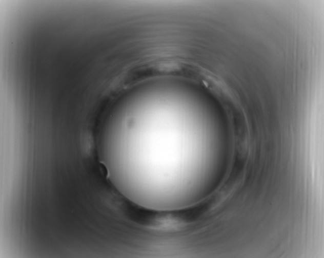 X0000099580704200805231551