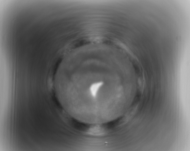 X0000099580705200805231551