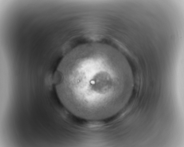 X0000099580707200805231551