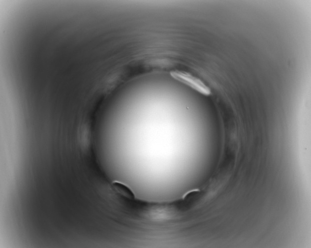 X0000099580708200805231551