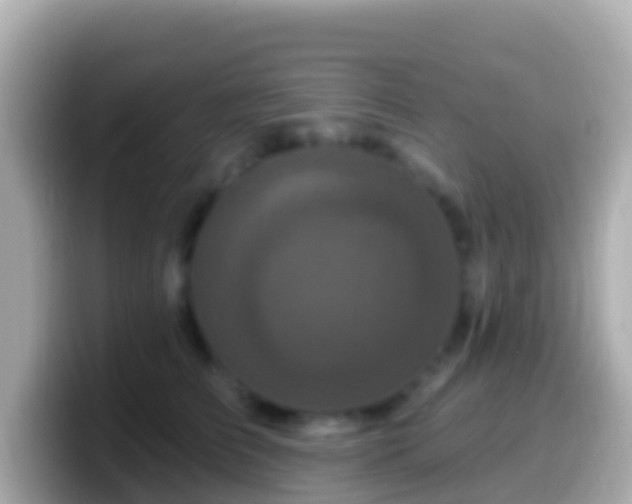 X0000099580709200805231551