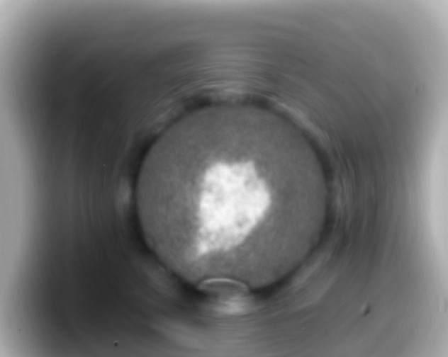 X0000099580711200805231551