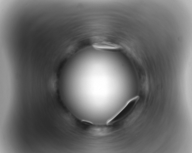 X0000099580712200805231551