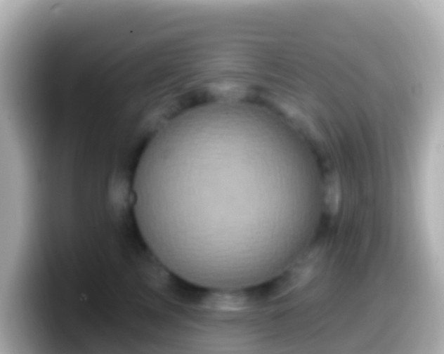 X0000099580713200805231551