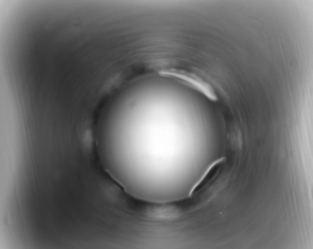 X0000099580716200805231551