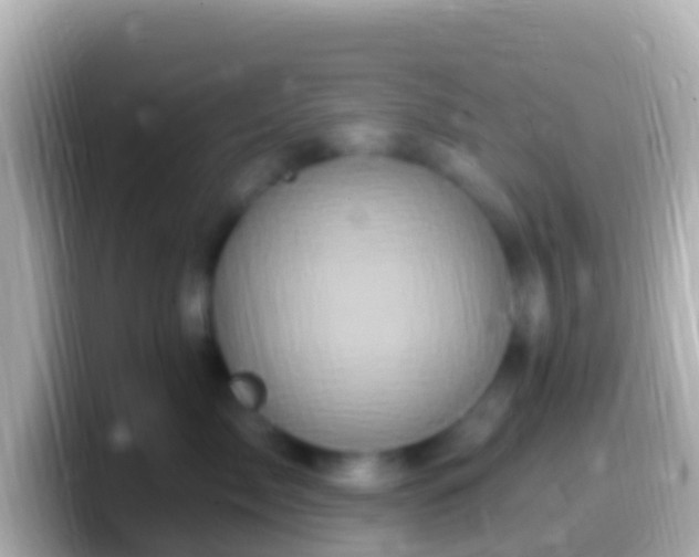 X0000099580717200805231551