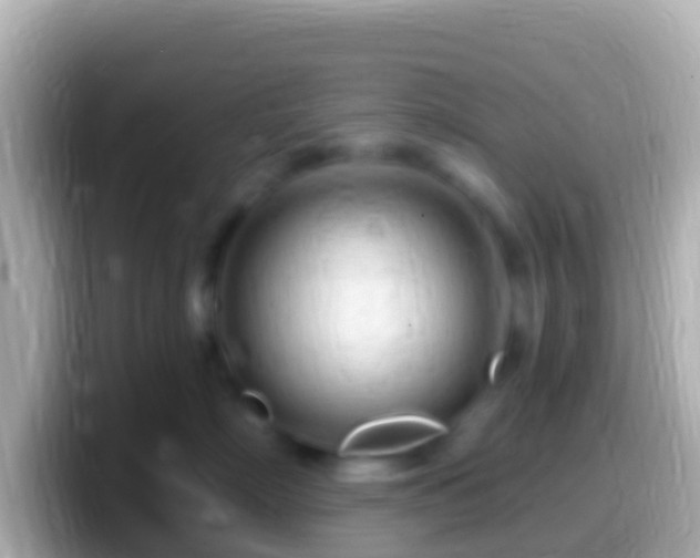 X0000099580718200805231551