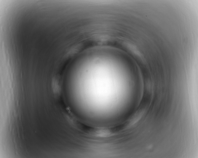 X0000099580719200805231551