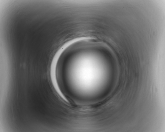 X0000099580720200805231551