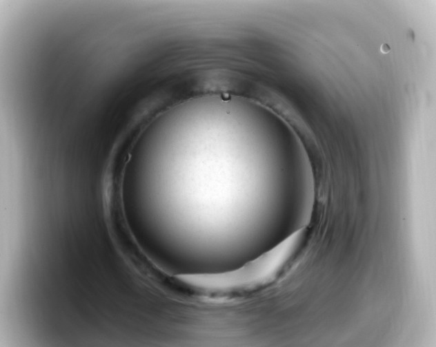 X0000099580722200805231550