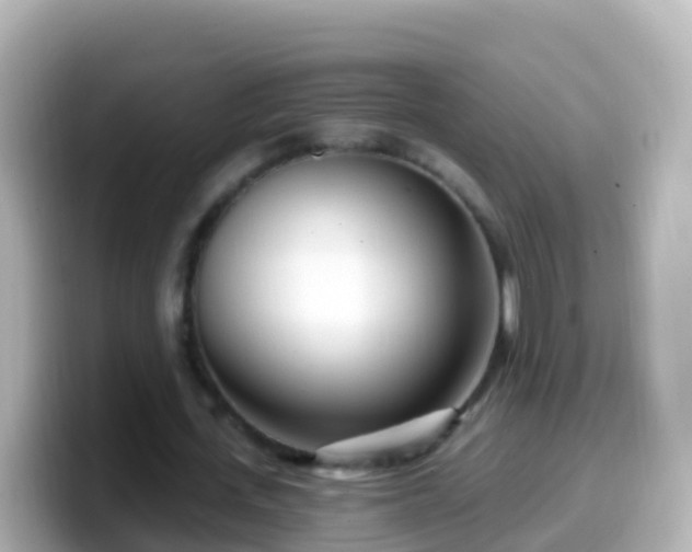 X0000099580723200805231550