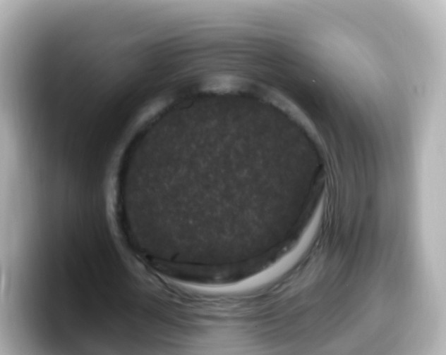 X0000099580724200805231550
