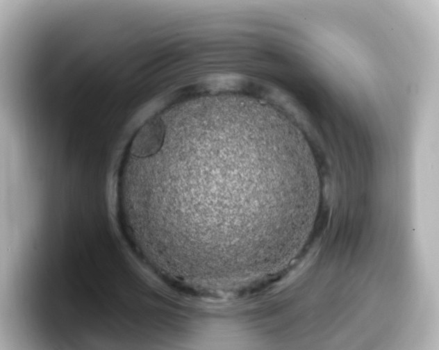 X0000099580725200805231550