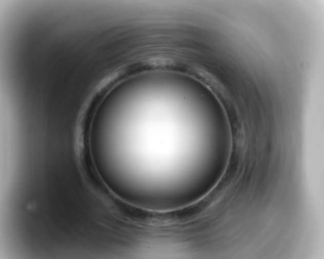 X0000099580727200805231550
