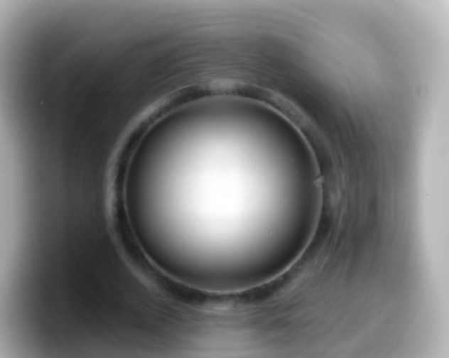 X0000099580728200805231550