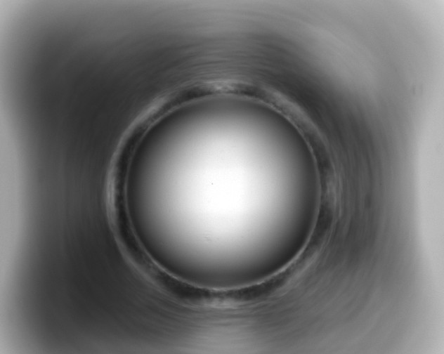 X0000099580730200805231550