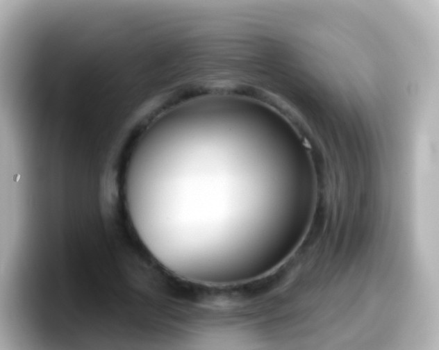 X0000099580731200805231550
