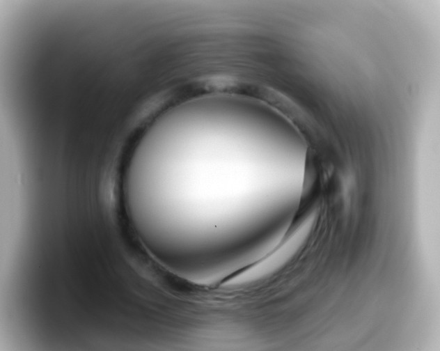 X0000099580732200805231550