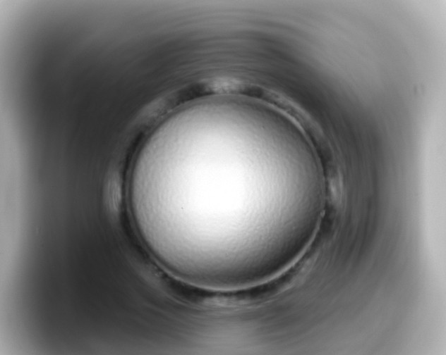 X0000099580733200805231550