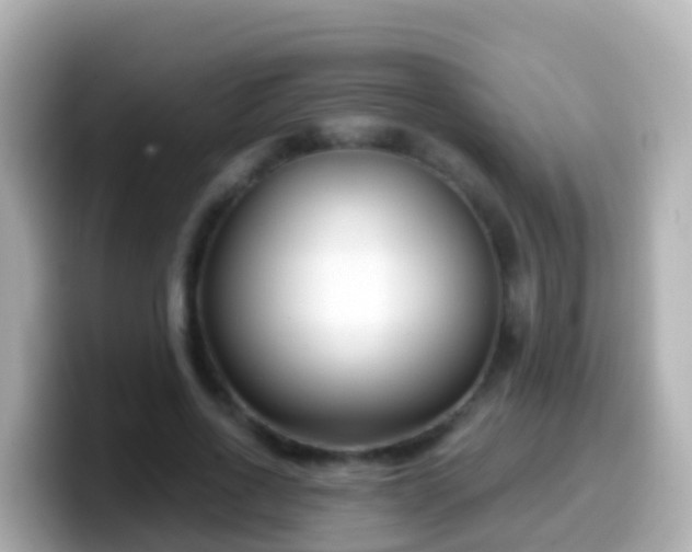X0000099580734200805231550
