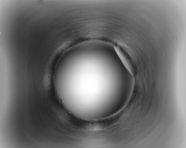 X0000099580735200805231550
