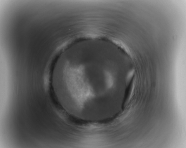 X0000099580736200805231550