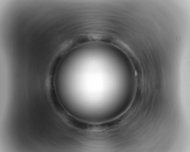 X0000099580738200805231550