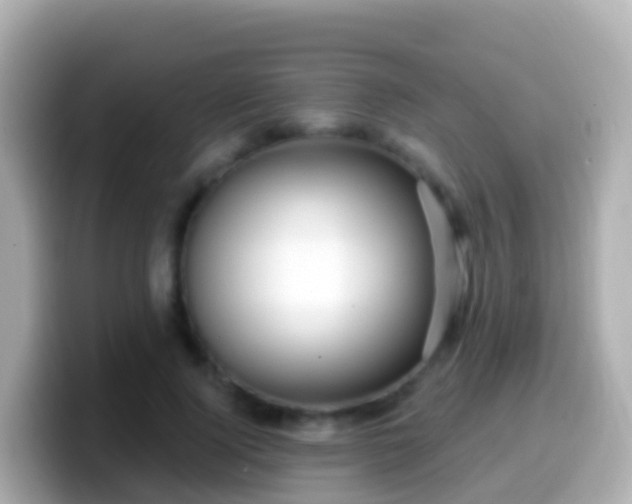 X0000099580740200805231550