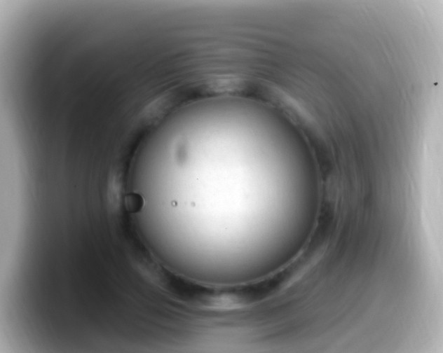 X0000099580741200805231550